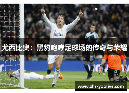 尤西比奥：黑豹咆哮足球场的传奇与荣耀
