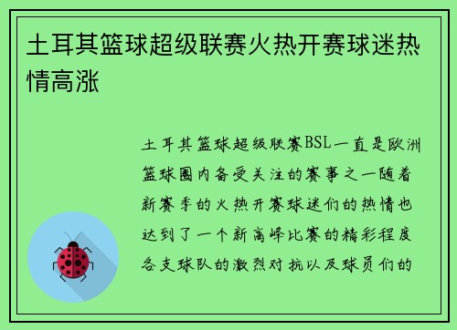 土耳其篮球超级联赛火热开赛球迷热情高涨
